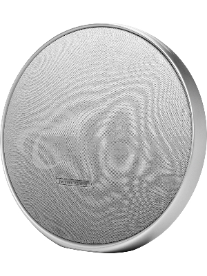 Портативная акустика Harman Kardon HKOS9GRYUK серый