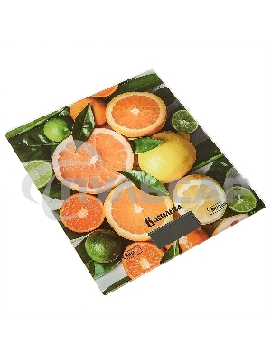 Весы настольные электронные ВАСИЛИСА ВА-020 