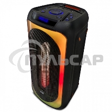 Портативная акустика BQ PBS1006 черный 25 Вт Портативная акустика BQ PBS1006 черный 25 Вт