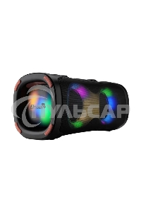 Акустическая колонка ELTRONIC (30-85) DANCE BOX 900 - колонка 06