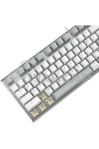 Клавиатура проводная A4Tech Fstyler FS100 Neon, USB, серый/белый