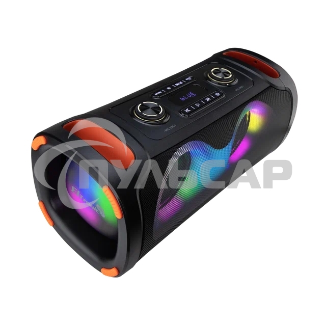 Акустическая колонка ELTRONIC (30-85) DANCE BOX 900 - колонка 06