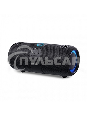 Портативная акустика BQ PBS1004 черный 14 Вт