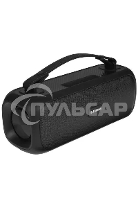 Портативная аудиосистема Telefunken TF-PS1281B (черный)