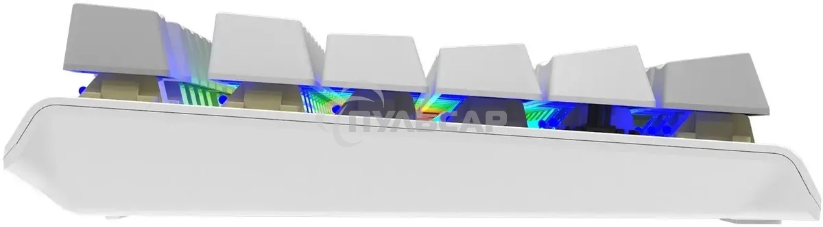 Клавиатура проводная A4Tech Fstyler FS100 Neon, USB, серый/белый