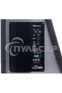 Сабвуфер автомобильный Nakamichi NBX255A 300Вт активный (25см/10