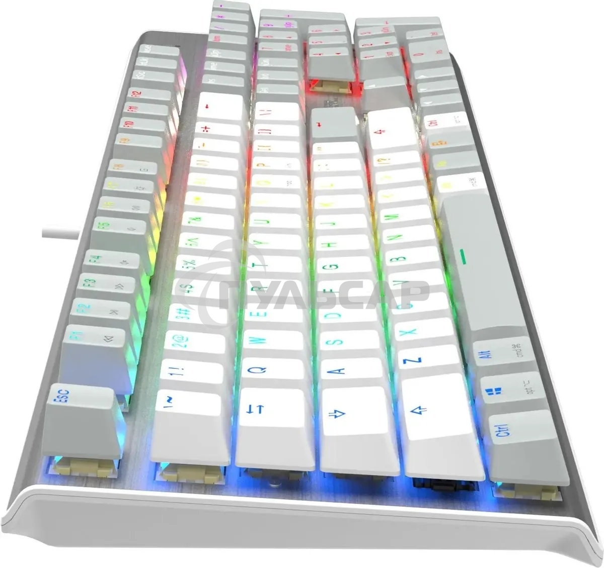 Клавиатура проводная A4Tech Fstyler FS100 Neon, USB, серый/белый