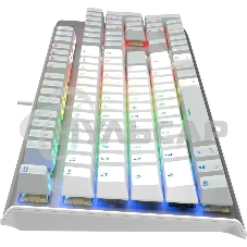 Клавиатура проводная A4Tech Fstyler FS100 Neon, USB, серый/белый