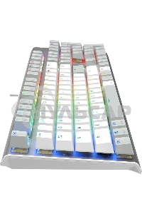 Клавиатура проводная A4Tech Fstyler FS100 Neon, USB, серый/белый