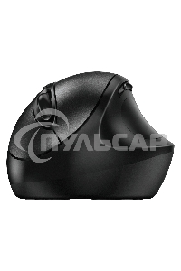 Мышь беспроводная Genius Ergo 8300S черный, 1600 dpi, радиоканал, USB, кнопки - 7