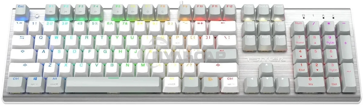 Клавиатура проводная A4Tech Fstyler FS100 Neon, USB, серый/белый