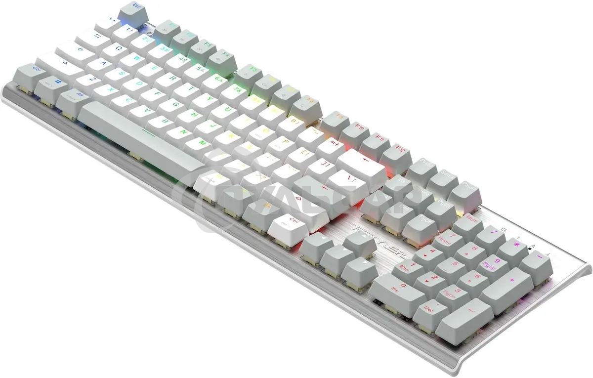 Клавиатура проводная A4Tech Fstyler FS100 Neon, USB, серый/белый