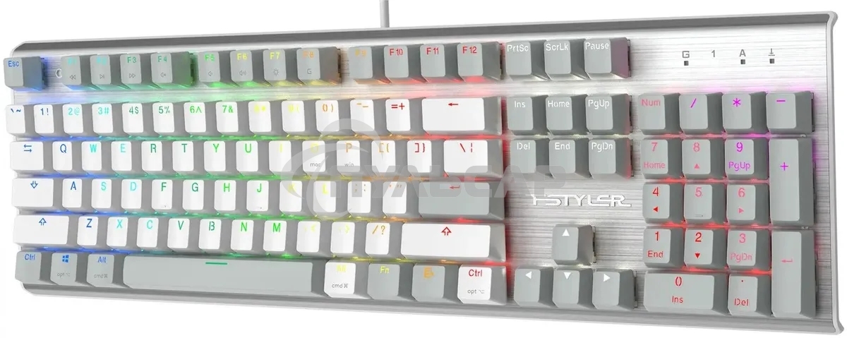 Клавиатура проводная A4Tech Fstyler FS100 Neon, USB, серый/белый