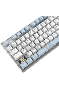 Клавиатура проводная A4Tech Fstyler FS100 Neon, USB, синий/белый