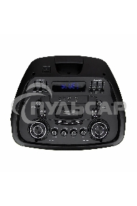 Колонка Eltronic 15