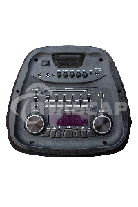 Колонка Eltronic 12