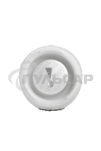 Портативная акустическая система JBL Charge 5 белая