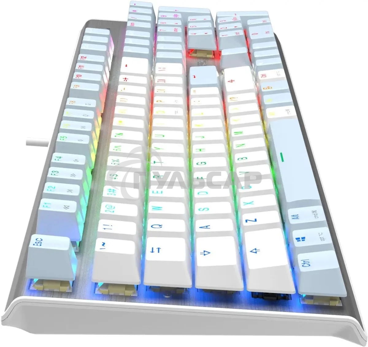 Клавиатура проводная A4Tech Fstyler FS100 Neon, USB, синий/белый