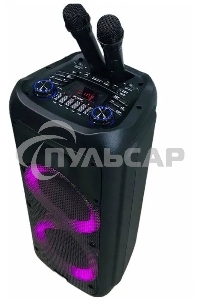 Колонка Eltronic 12