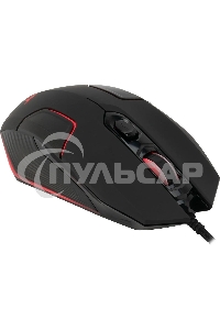 Мышь проводная Acer OMW170 черный, 3200 dpi, USB, кнопки - 6