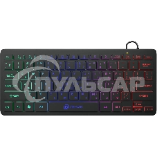 Клавиатура проводная Oklick Oklick 300S черный USB