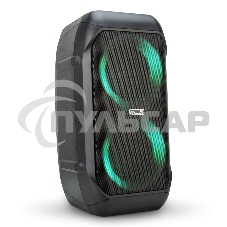 Колонка Eltronic 06