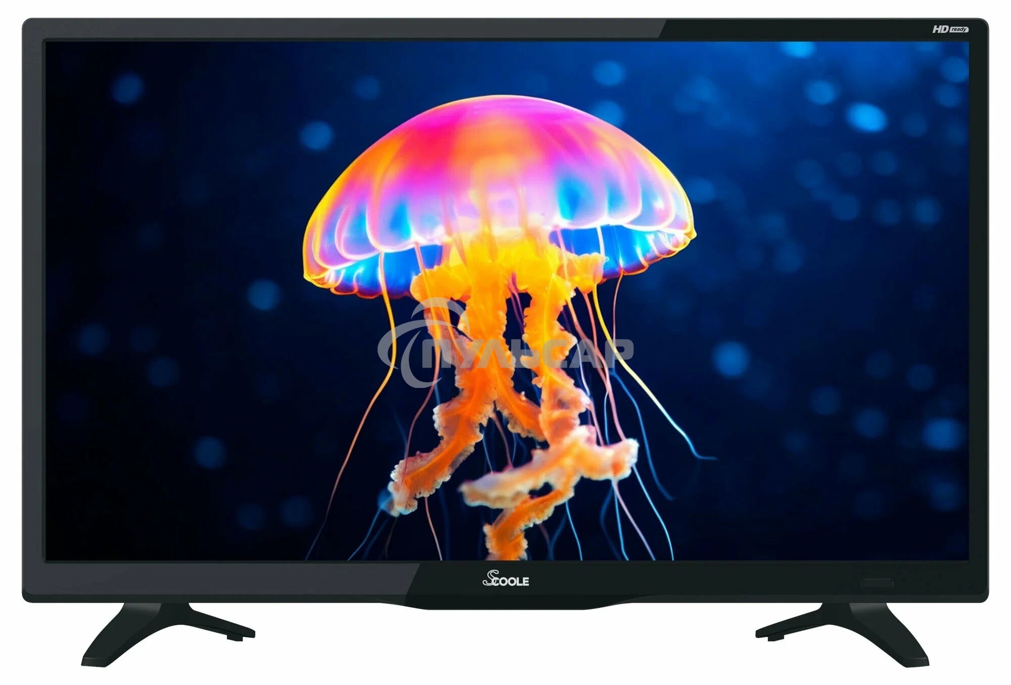 Телевизор Scoole 24