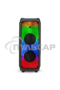 Колонка Eltronic 10