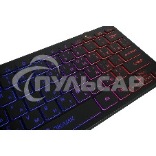 Клавиатура проводная Oklick Oklick 300S черный USB