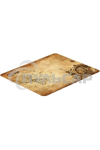 Коврик для мыши Cactus Antique map 220x180x2мм (CS-MP-P08XS)