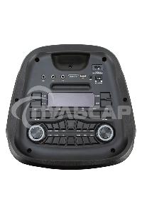 Колонка Eltronic 10