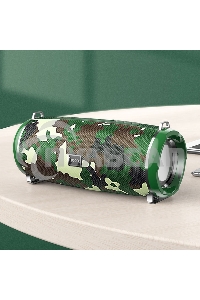 Портативная колонка HOCO HC2, хаки