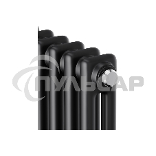 Дизайн-радиатор Royal Thermo Insignia C2180 - 12 секц. RAL9005m