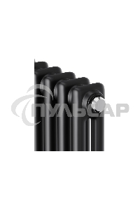 Дизайн-радиатор Royal Thermo Insignia C2180 - 12 секц. RAL9005m