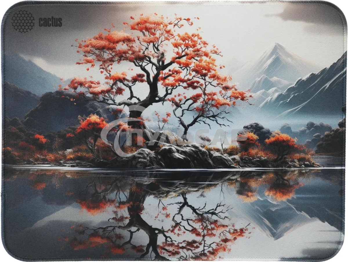 Коврик для мыши Cactus Lake 400x300x3мм (CS-MP-PRO18XL)