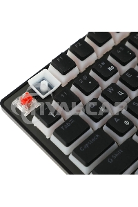 Клавиатура проводная Acer Nitro OKW303, USB, черный