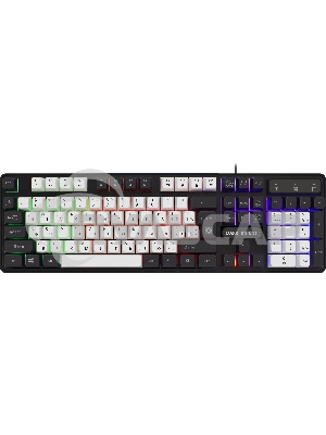 Клавиатура проводная Defender Dark Knight R GK-077, USB, черный/белый