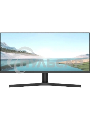 Монитор NPC MB300L-Y черный 29