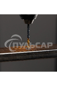 Набор сверл по металлу Denzel 1-10 мм, HSS-Tin, Golden Tip, 19 шт