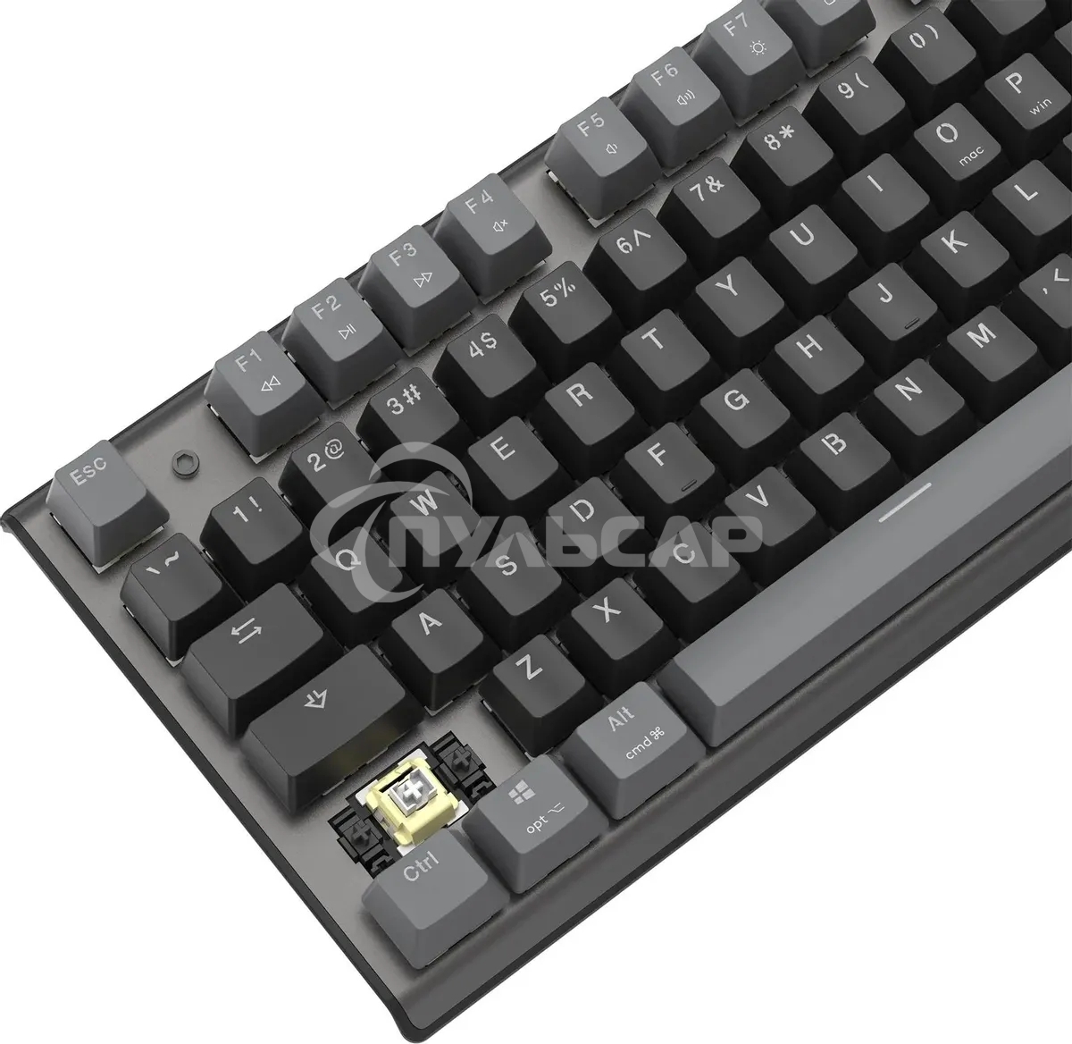 Клавиатура проводная A4Tech Fstyler FS100 Neon, USB, черный