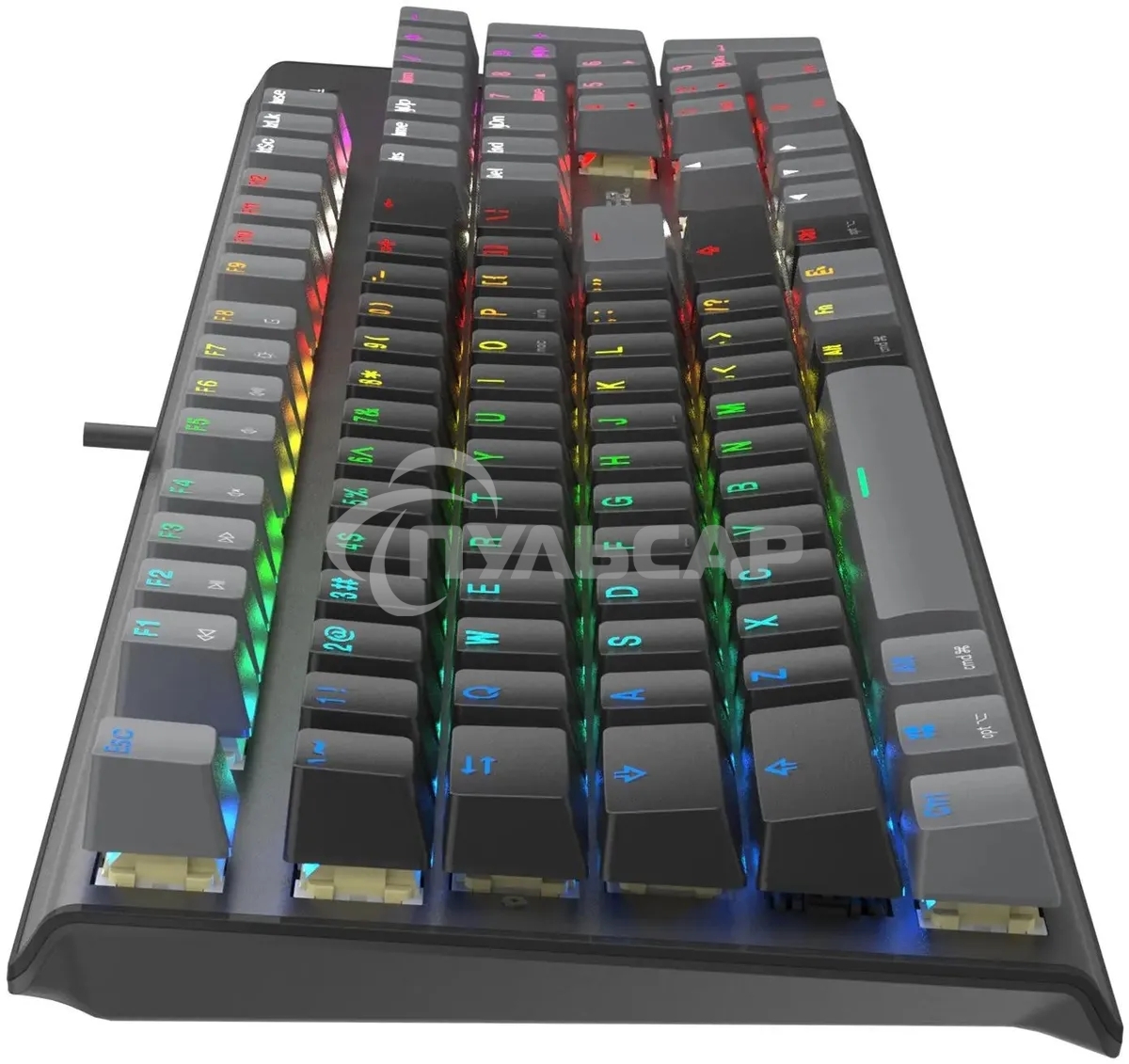 Клавиатура проводная A4Tech Fstyler FS100 Neon, USB, черный