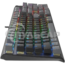 Клавиатура проводная A4Tech Fstyler FS100 Neon, USB, черный