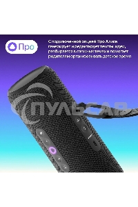 Умная колонка Yandex Стрит Алиса черный 30W 2.0 BT/Wi-Fi 10м 3300mAh (YNDX-00030BLK)