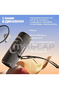 Умная колонка Yandex Стрит Алиса черный 30W 2.0 BT/Wi-Fi 10м 3300mAh (YNDX-00030BLK)