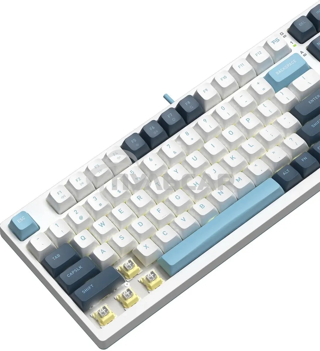 Клавиатура проводная A4Tech Fstyler FS300 (FS300 PANDA SNOWBOARDING), USB, белый/синий