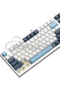 Клавиатура проводная A4Tech Fstyler FS300 (FS300 PANDA SNOWBOARDING), USB, белый/синий