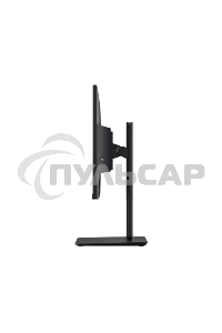 Монитор 24.5