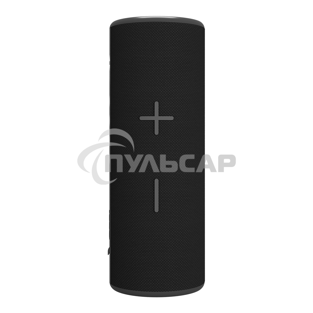 Портативная колонка SOUNDMAX SM-PS5024B черный