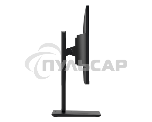 Монитор 24.5