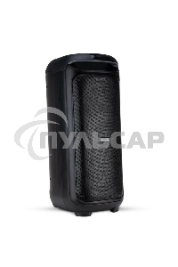 Колонка Eltronic 10